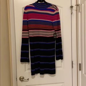 Express sweater Dress